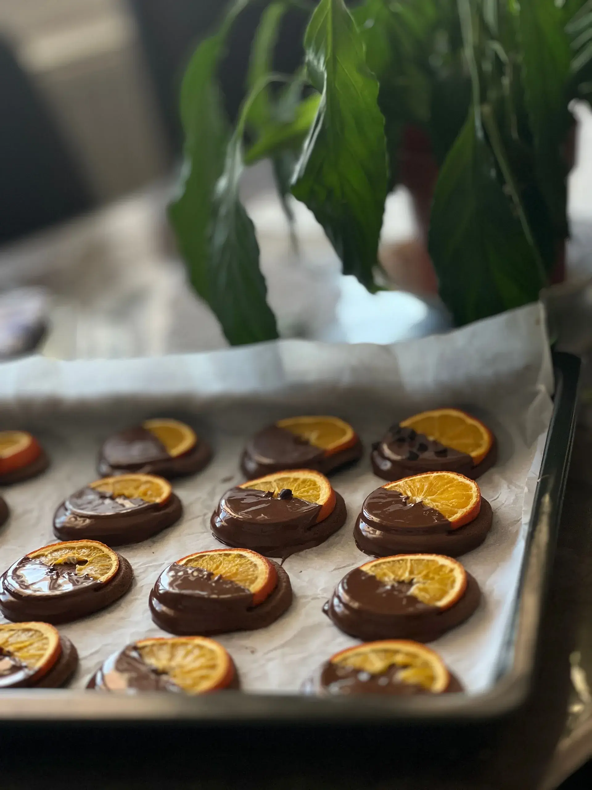 Tangerine